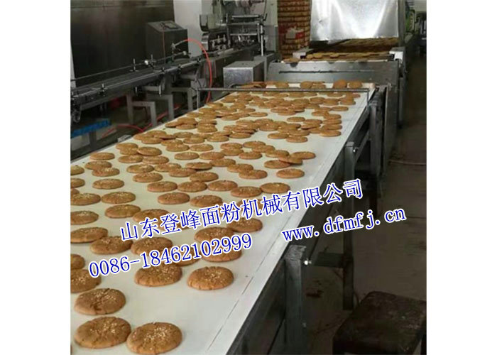 多功能餅干生產(chǎn)線